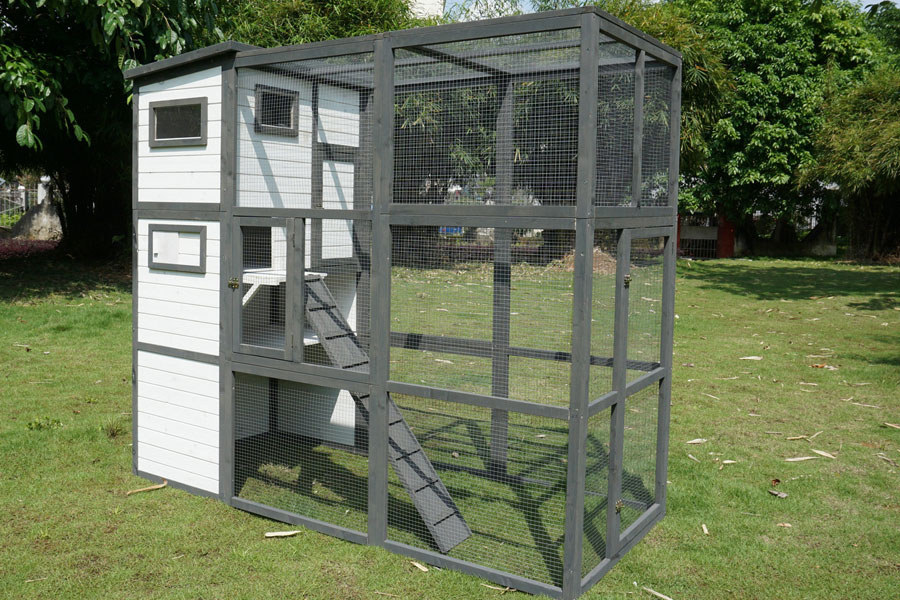 outdoor cat cage